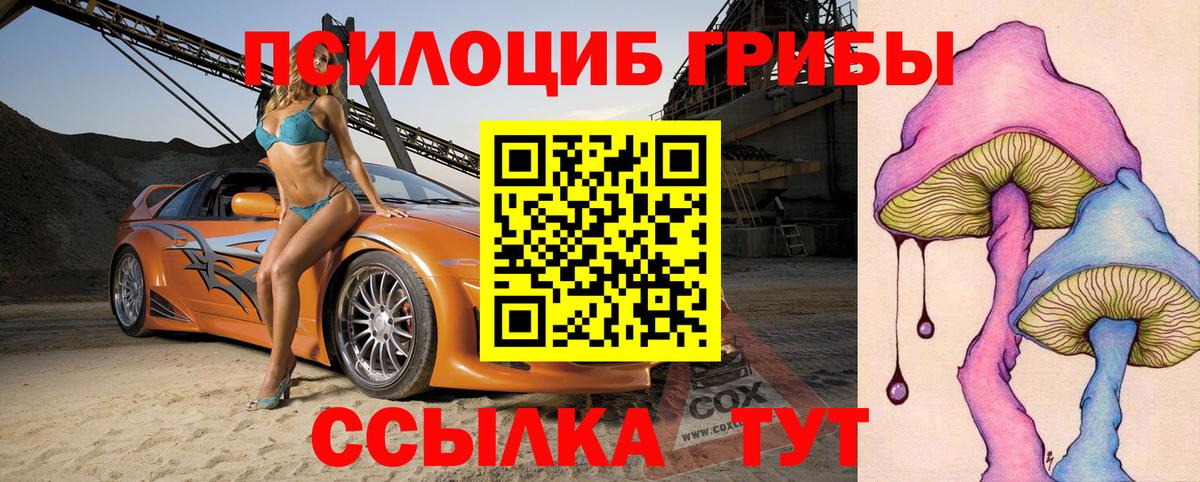 Псилоцибиновые грибы мицелий Кушва